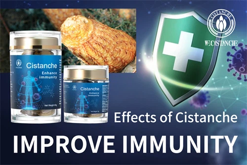 Desert ginseng-Improve immunity (16)