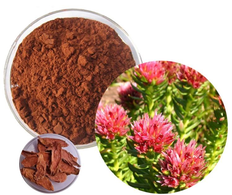 Rhodiola Rosea Extract Rhodiola Rosea Extract