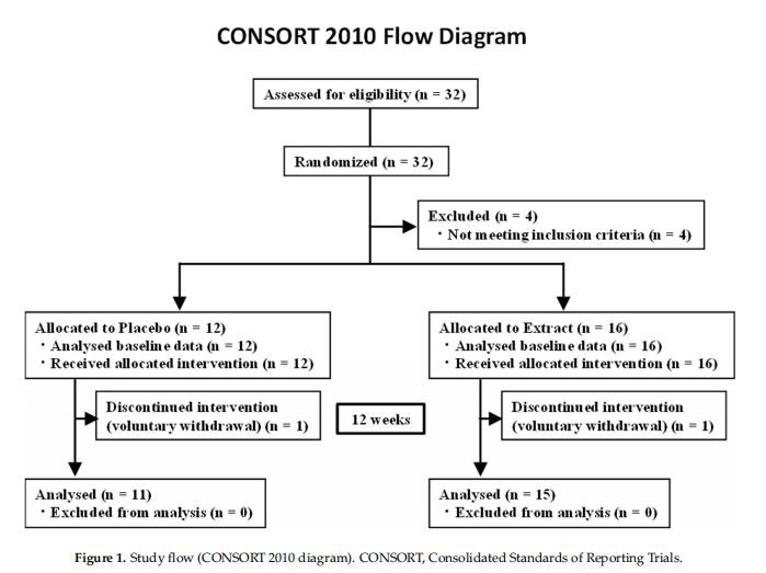 Study flow (CONSORT 2010 diagram). CONSORT, Consolidated Standards of Reporting Trials.