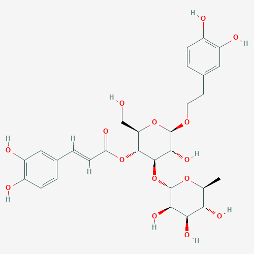 Cistanche Acteoside