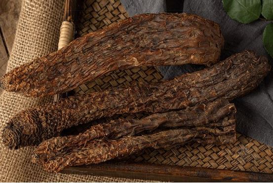 cistanche immunity booster