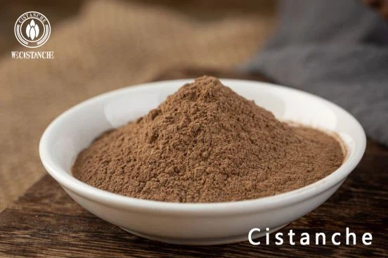 HERB CISTANCHE EXTRACT POWDER