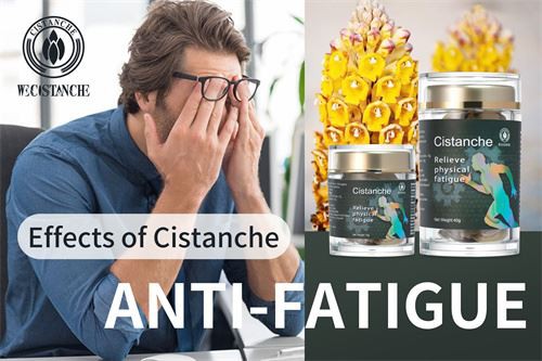 effect of Cistanche herb