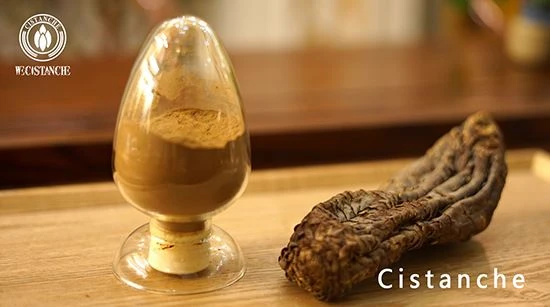Cistanche salsa extract