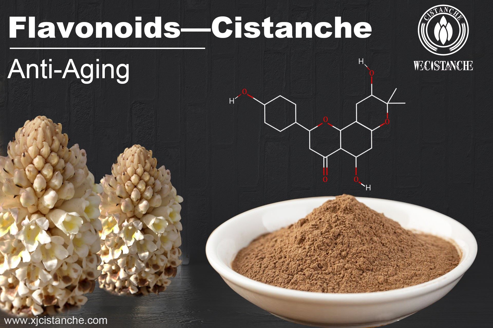 Cistanche have great effect on anti-aging