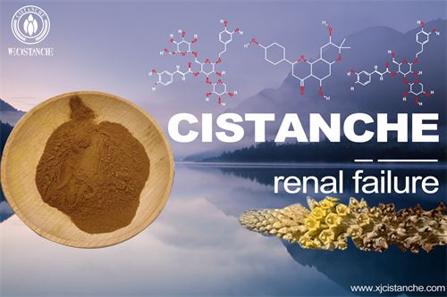 to protect kidney function and relieve renal failure to protect kidney function and relieve renal failure