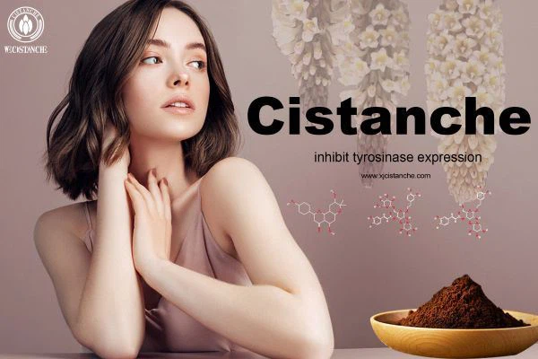 inhibit tyrosinase expression inhibit tyrosinase expression