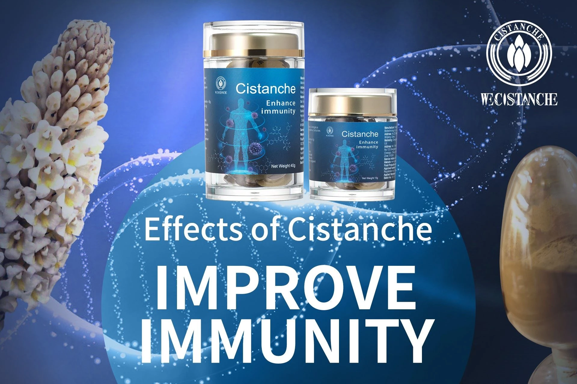 improve immunity by Cistanche tubulosa tablets
