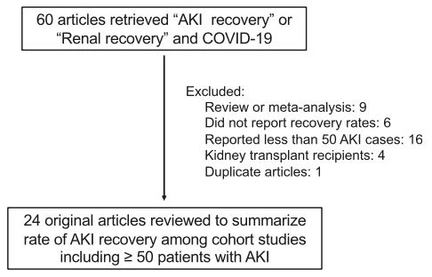 Fig 2. Identification of articles reporting AKI recovery rates in patients with Severe COVID-19 Fig 2. Identification of articles reporting AKI recovery rates in patients with Severe COVID-19