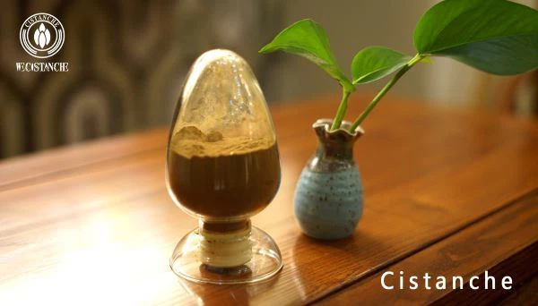cistanche extract cistanche extract