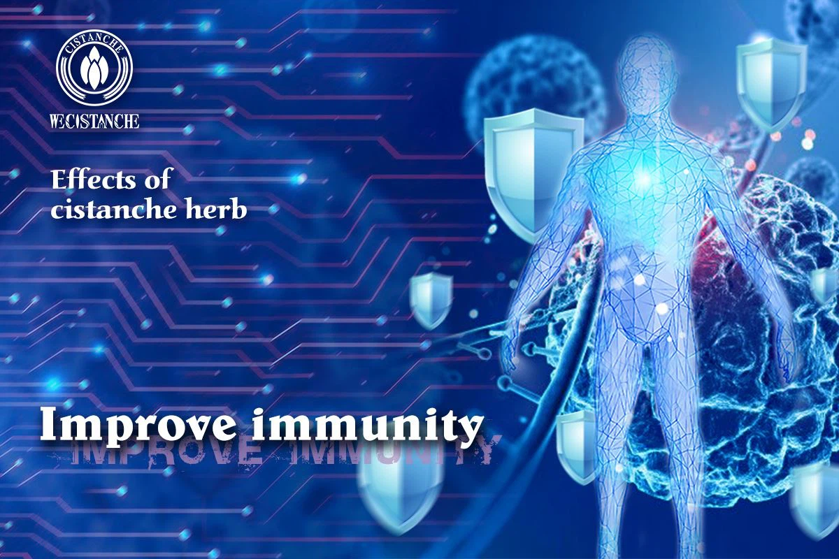 Improve immunity