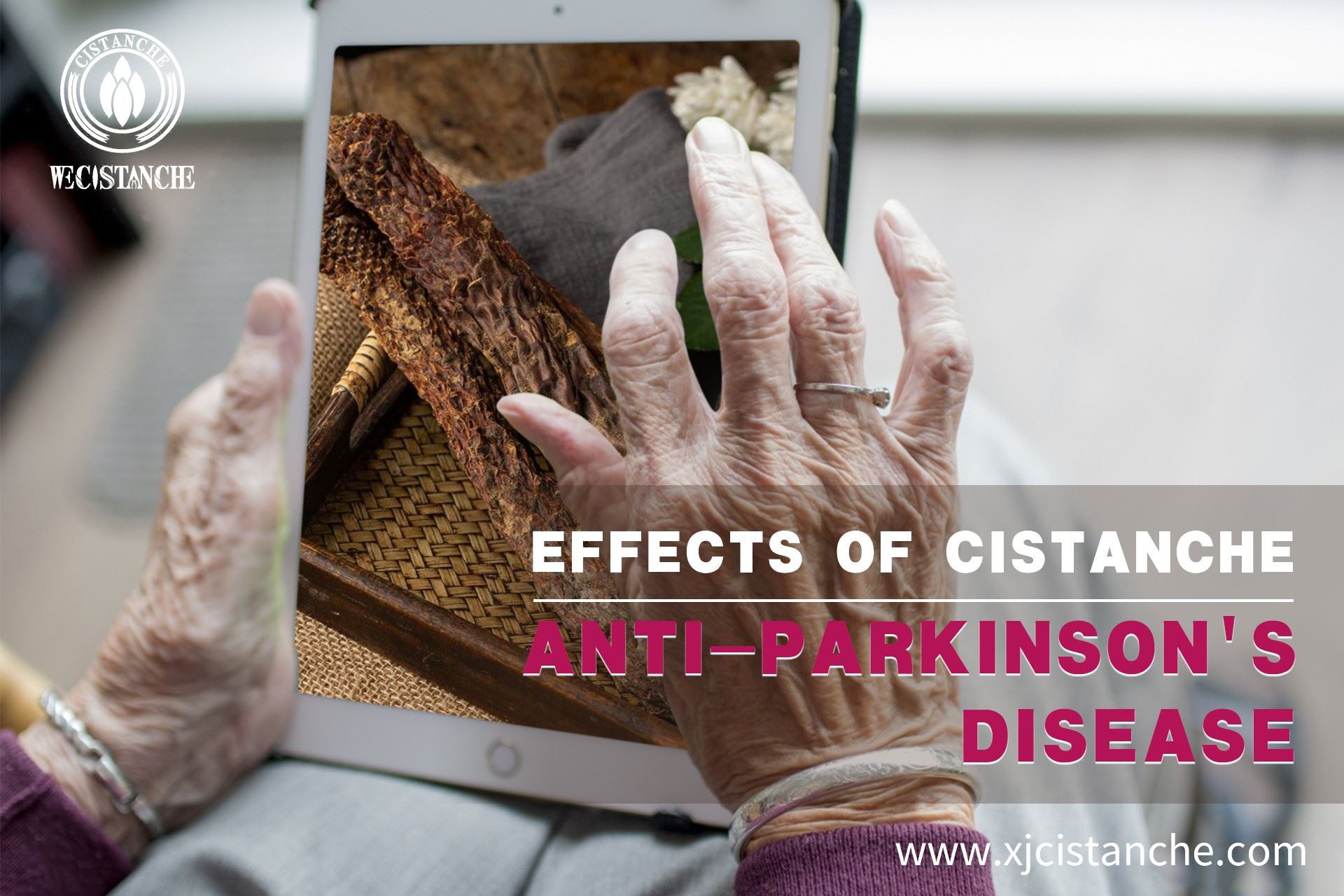 Cistanche could prevent parkinson's disease