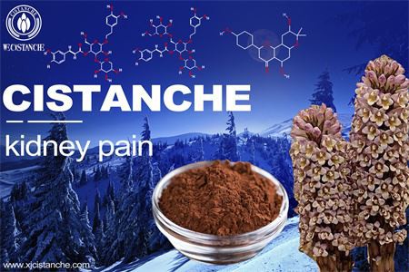 kidney pain-1(25) kidney pain-1(25)