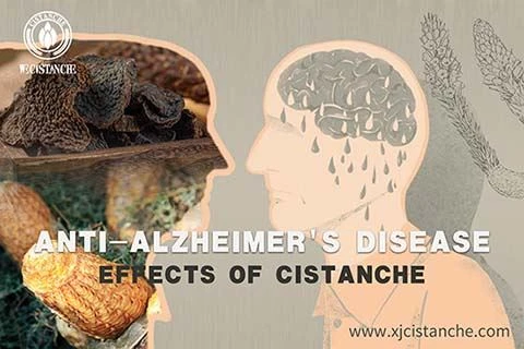 Anti Alzheimer's disease (3)