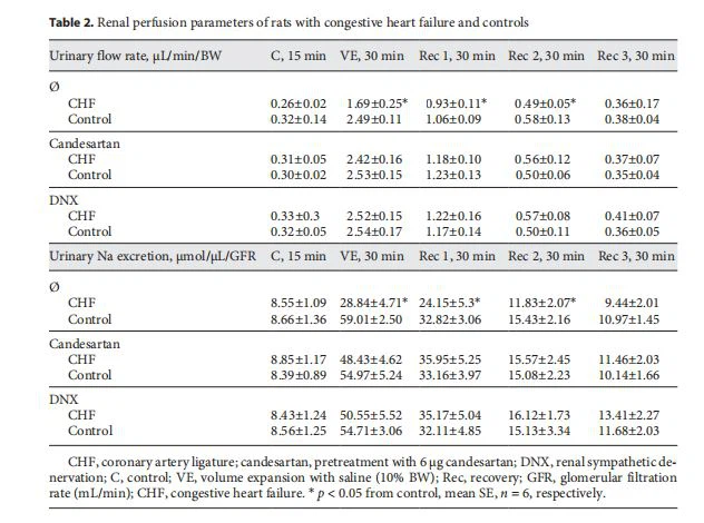 Renal perfusion parameters of rats with congestive heart failure and controls