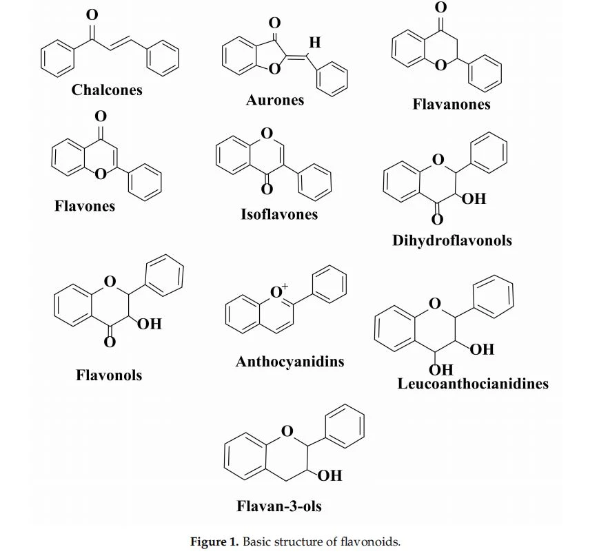 Basic structure of flavonoids