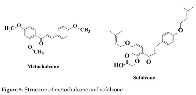 Structure of metochalcone and sofalcone