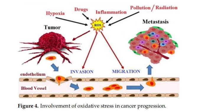 nvolvement of oxidative stress in cancer progression