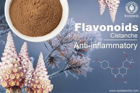 flavonoids anti-inflammatory