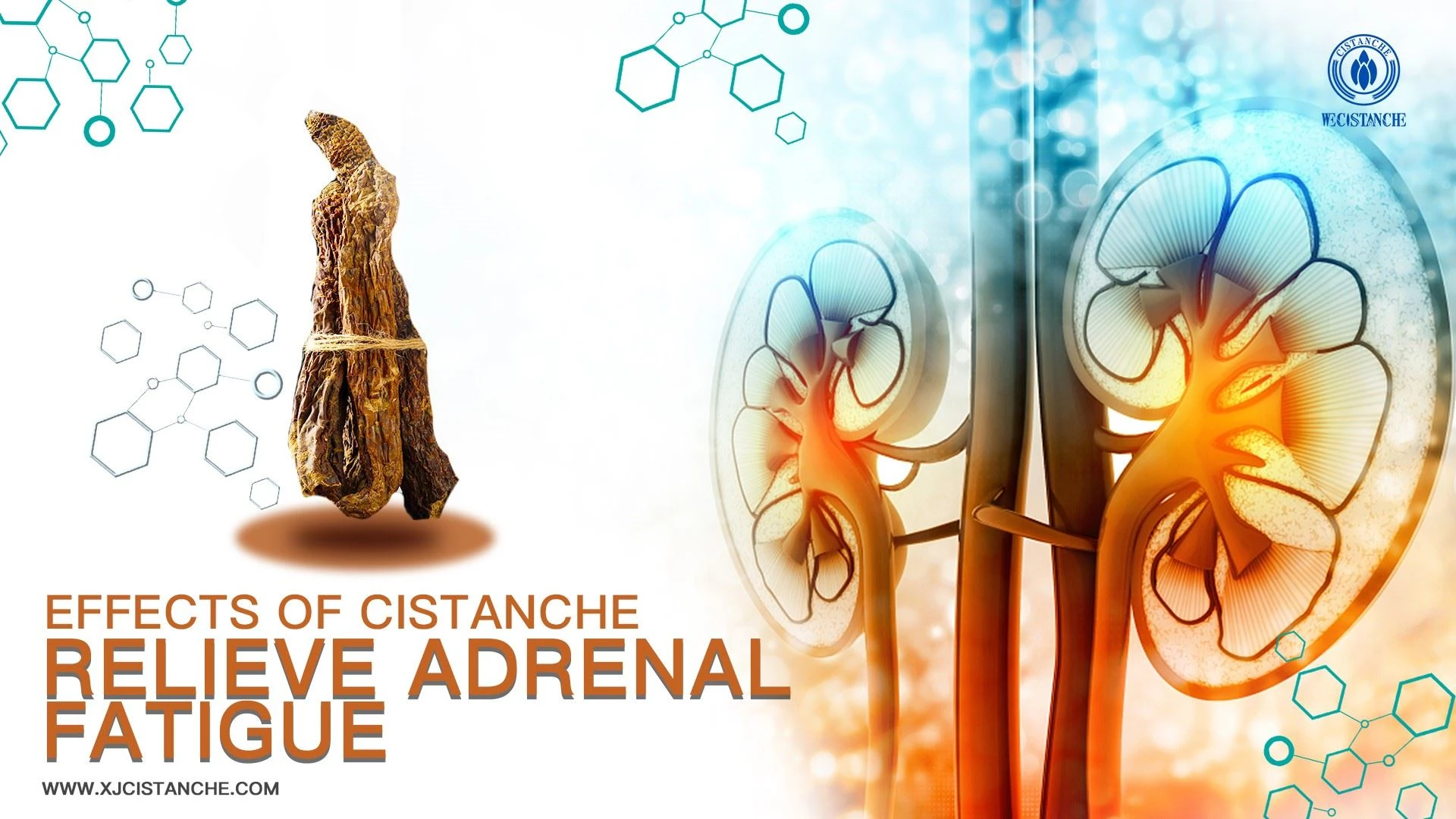 best herb for adrenal best herb for adrenal