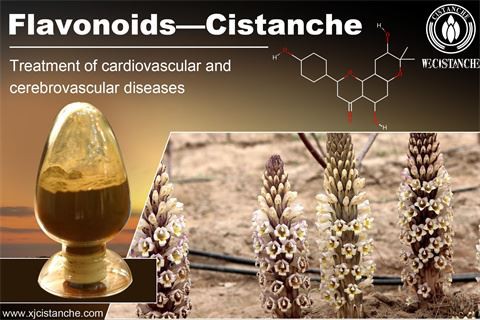 benefit of cistanche extract