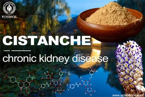 what is cistanche used for