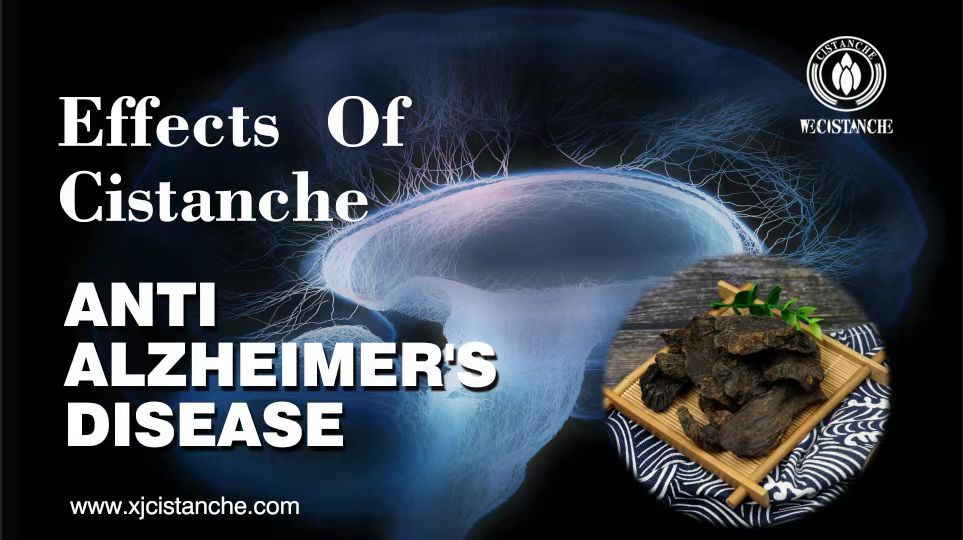 how to prevent alzheimer's disease