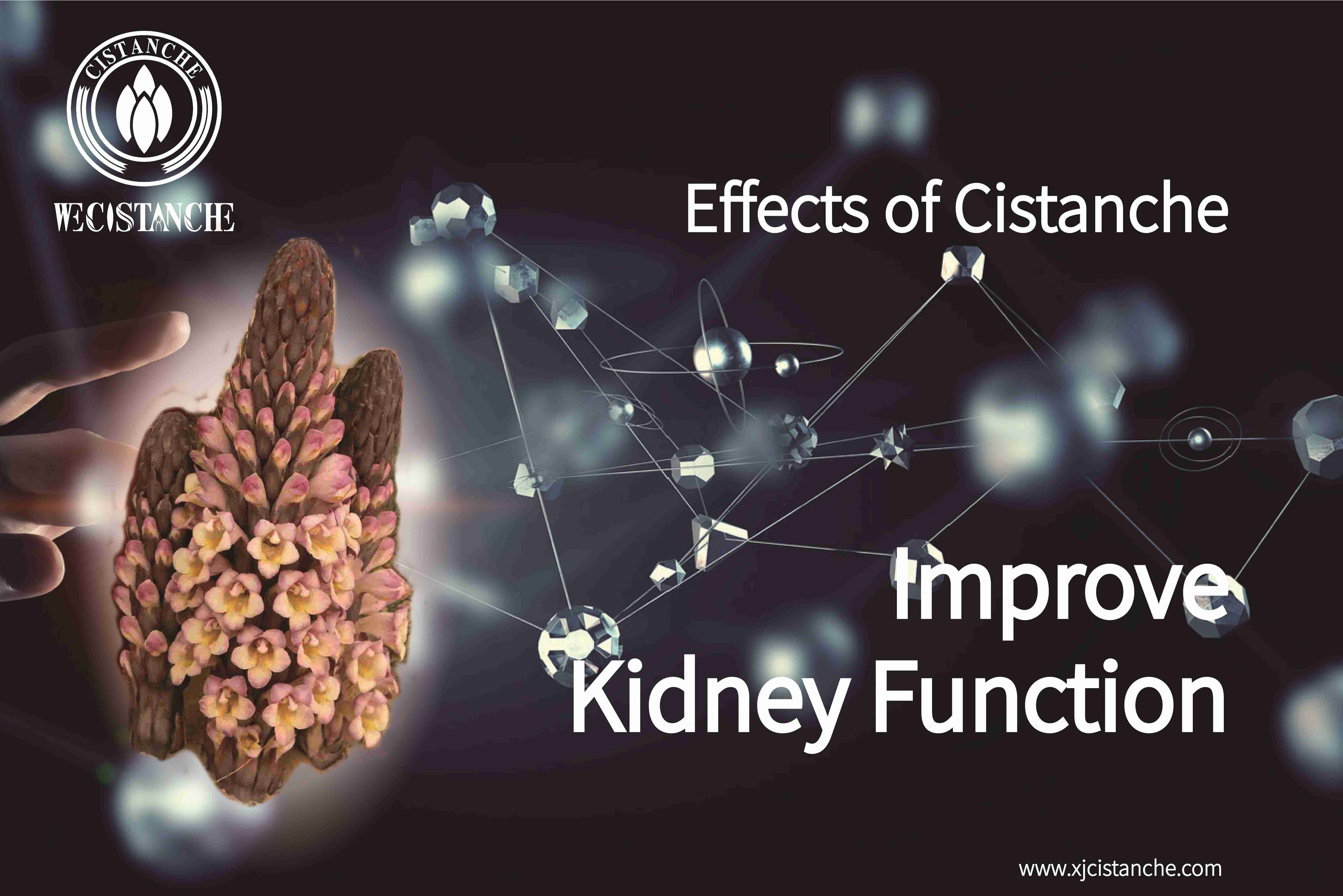 how to prevent kidney disease