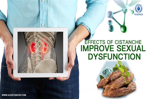 cistanche dht：improve sexual dysfunction
