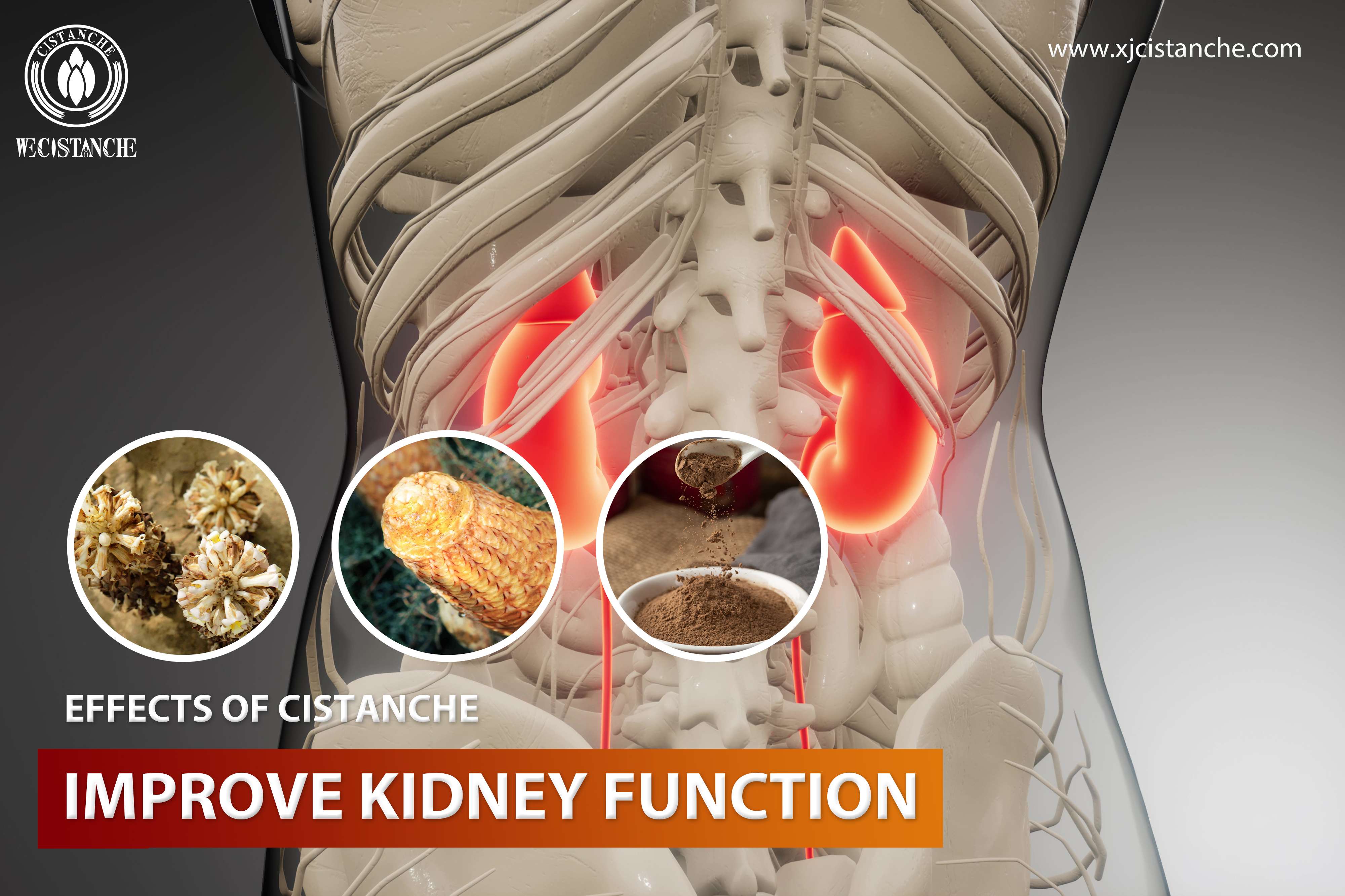 the best kidney supplement