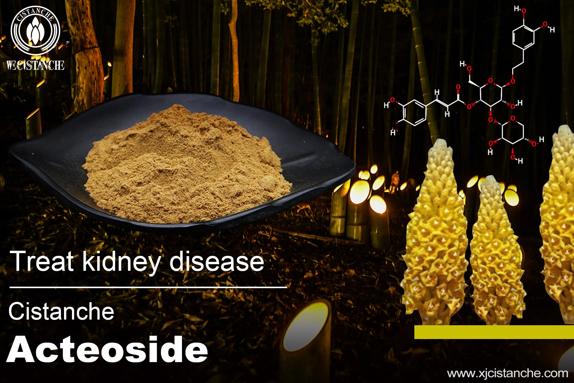 the best herb for kidney failure