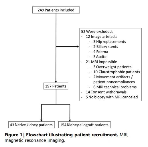Figure 1 | Flowchart illustrating patient recruitment. MRI, magnetic resonance imaging.