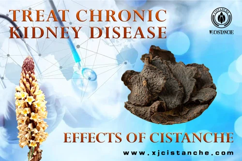 how to treat chronic kidney disease