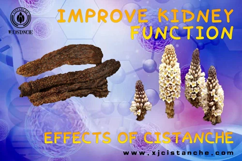 how to improve kidney function