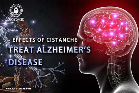 Anti Alzheimer's disease (8)