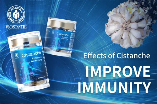 Effect of cistanche improve immunity
