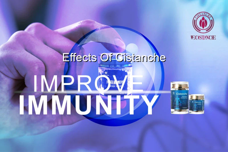 Enhance Immunity Cistanche