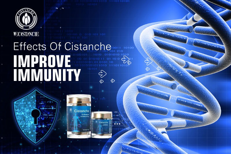 cistanche capsules