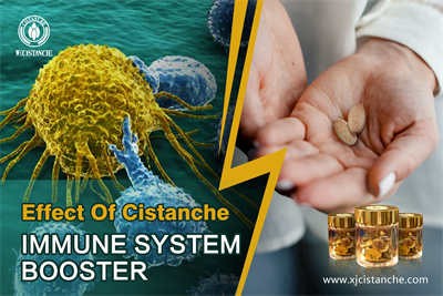 cistanche chemist warehouse