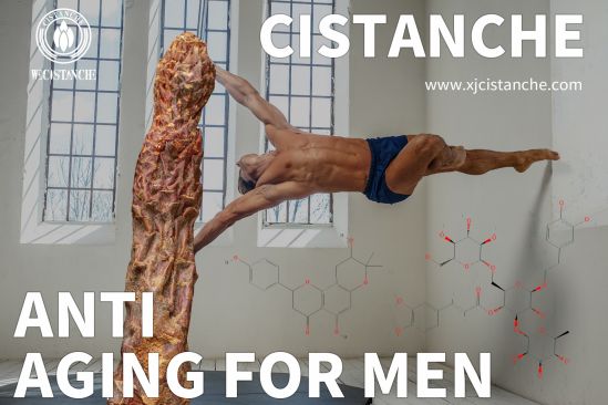 cistanche research for antioxditive cistanche research for antioxditive