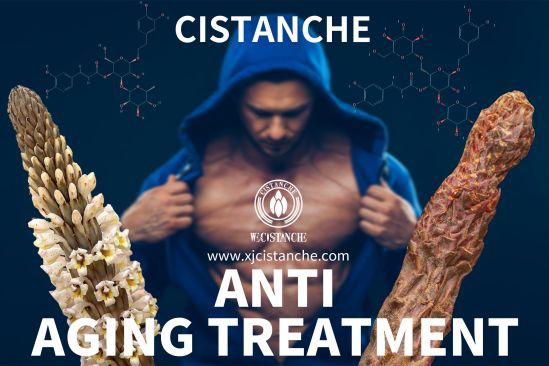 cistanche anti-aging