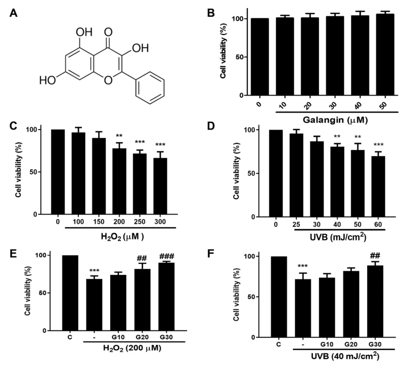 Protective effects of cistanche Protective effects of cistanche