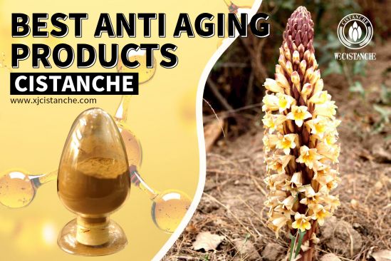 Protective effects of cistanche Protective effects of cistanche