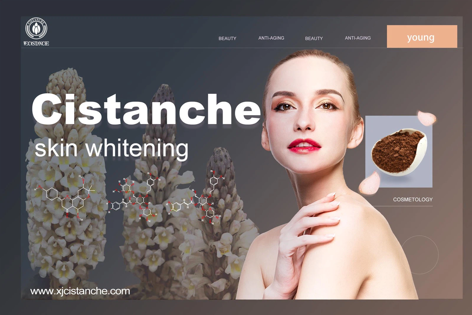 cistanche amazon