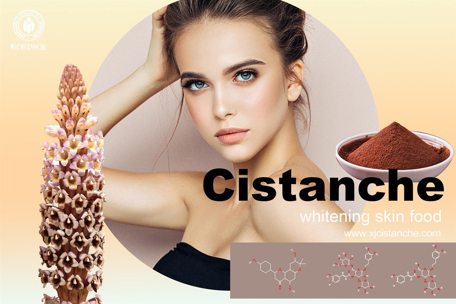 cistanche and tongkat ali reddit