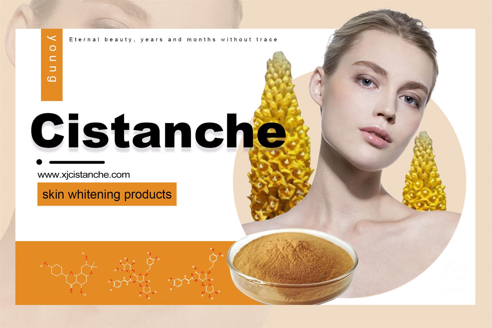 cistanche nedir cistanche nedir