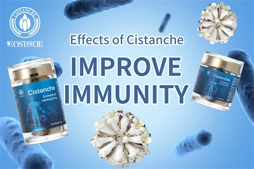 cistanche plant