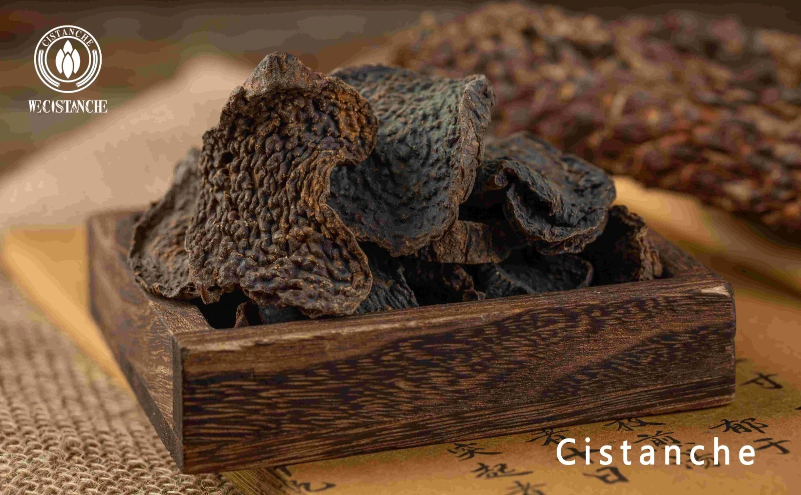 cistanche deserticola vs tubulosa