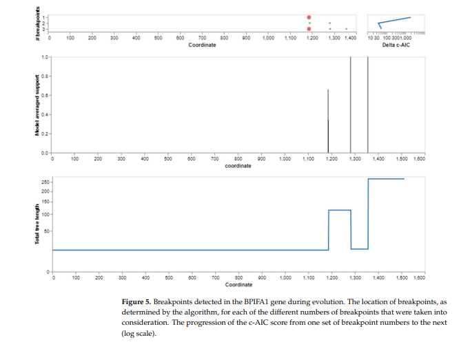 cistanche para que sirve