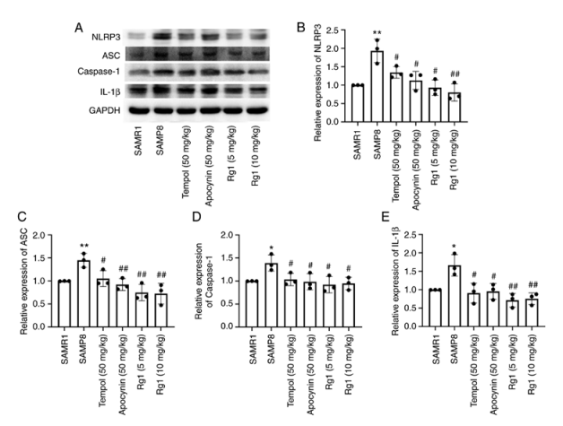 new research of chinese herbs for liver fibrosis